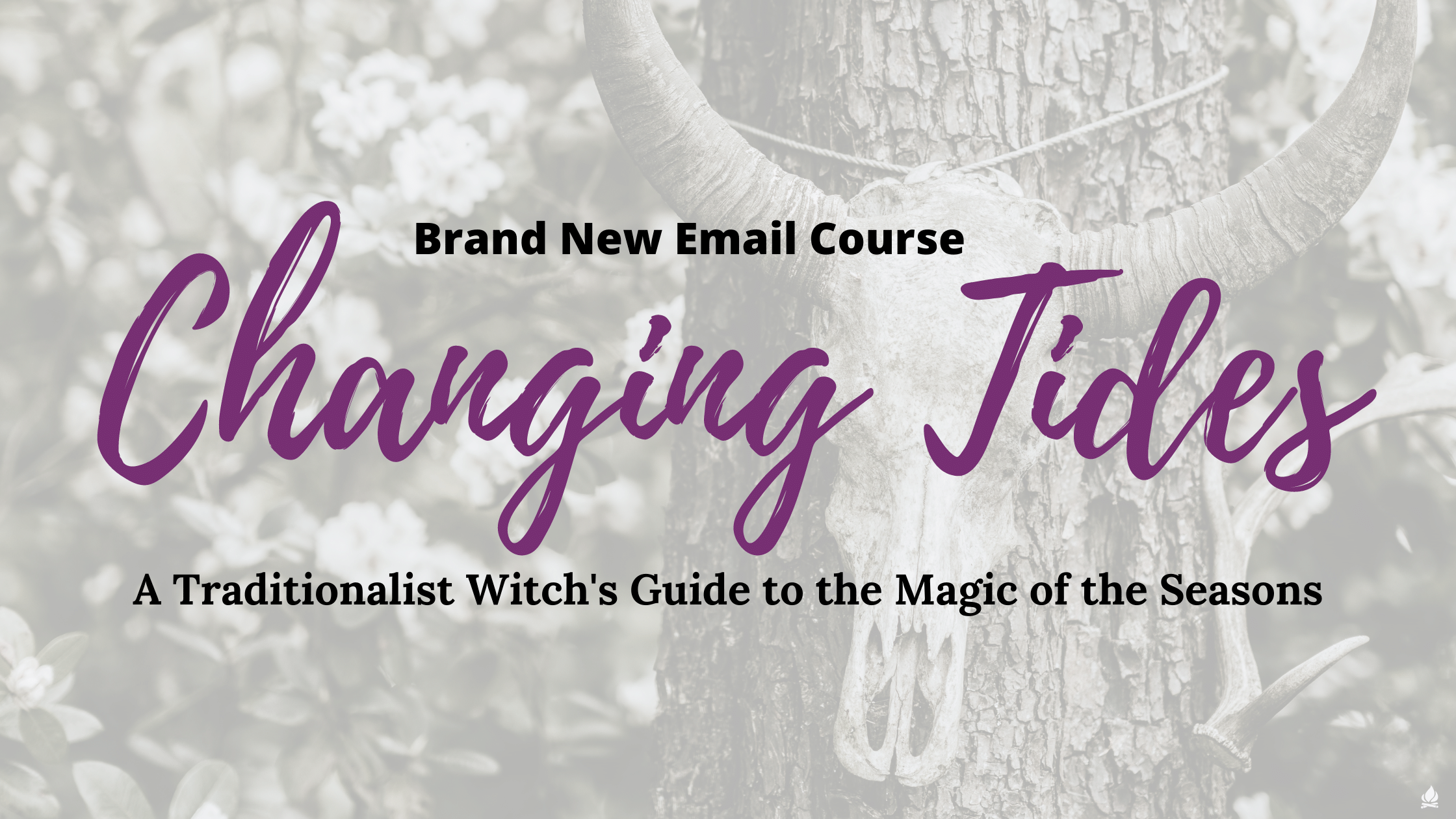 Beginning witchcraft course