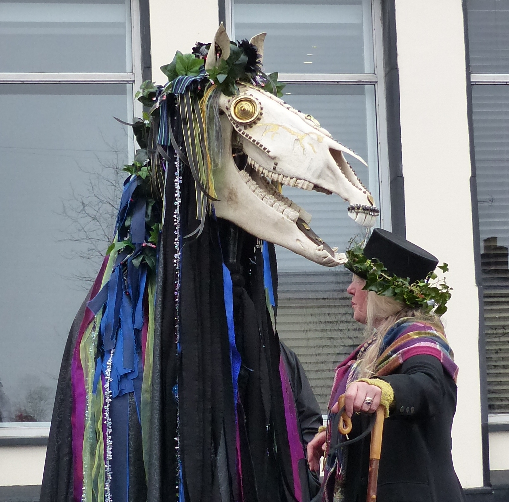 Ribbon Mari Lwyd
