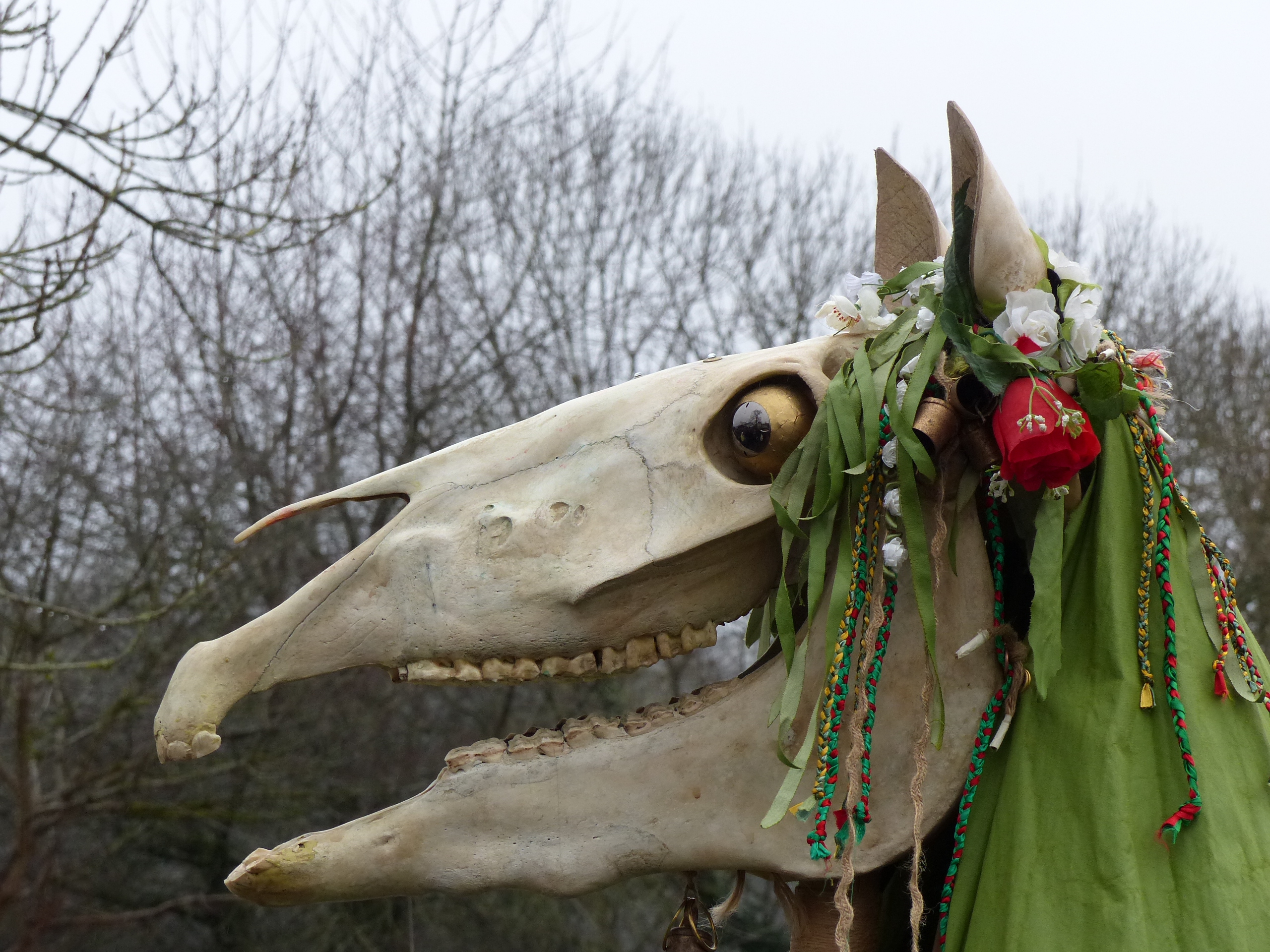 Mari Lwyd at Chepstow