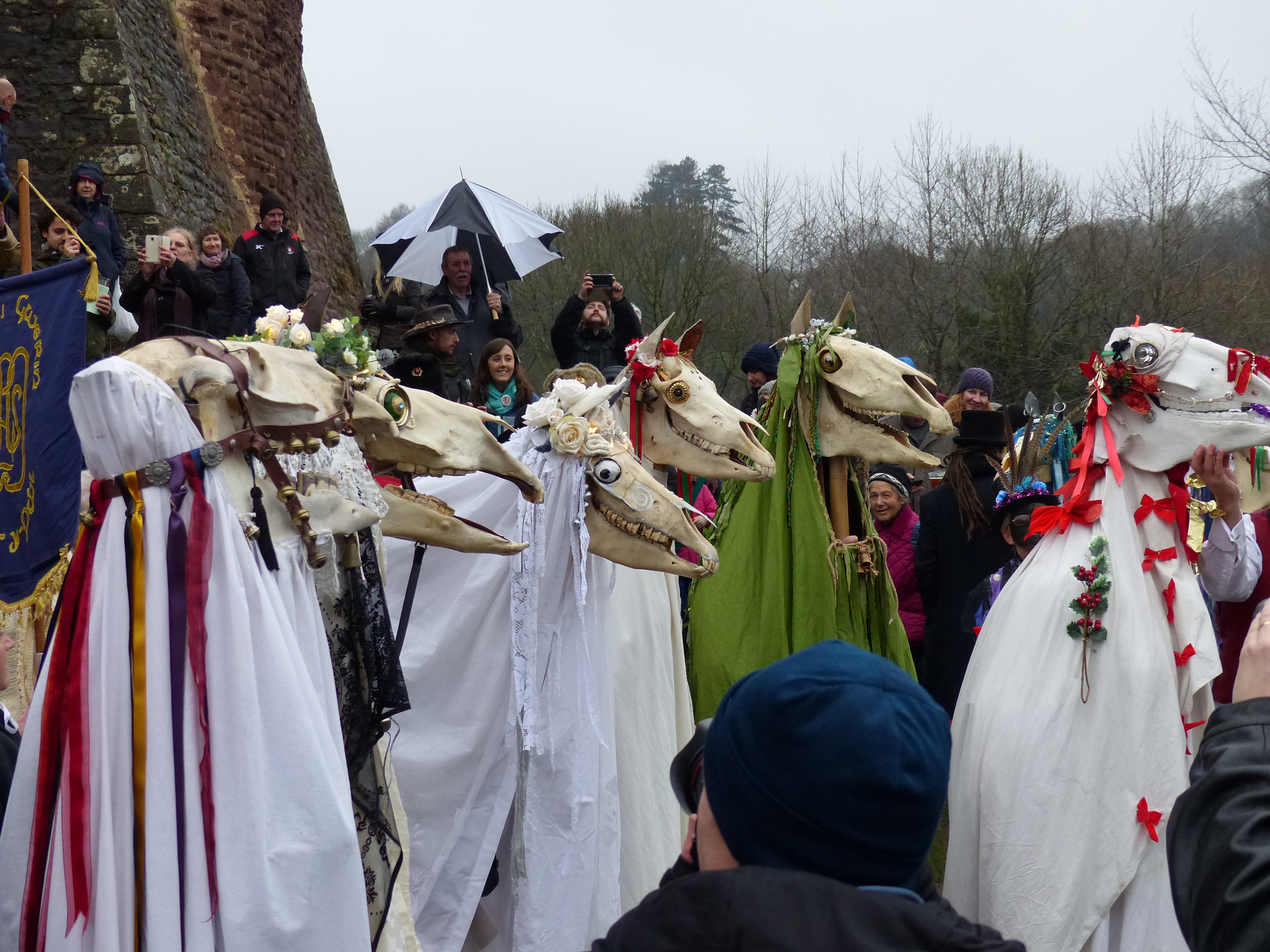 a Group of Mari Lwyd