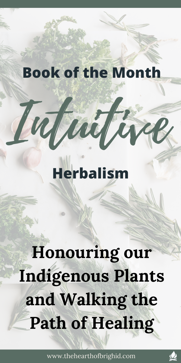 Animism in witchcraft guide