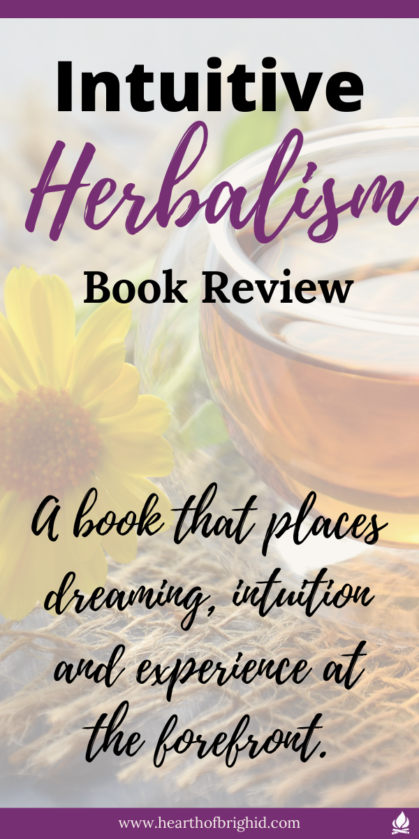 animism in witchcraft