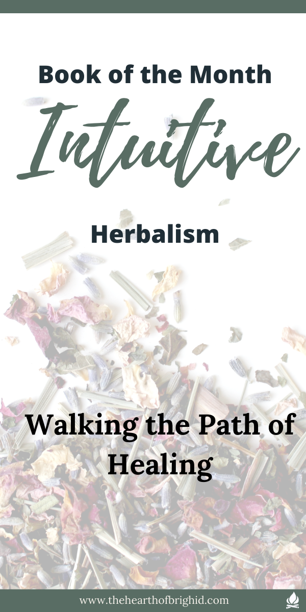 Beginners guide to animism