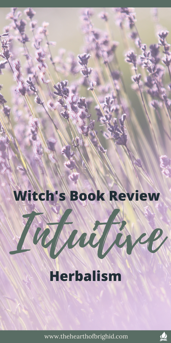 animism in witchcraft