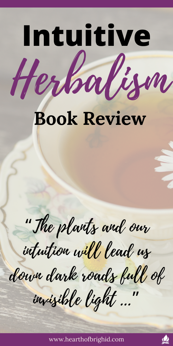 Animism in witchcraft guide