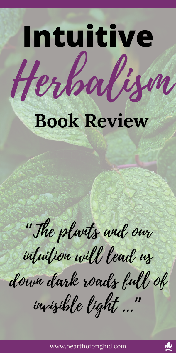 Beginners guide to animism