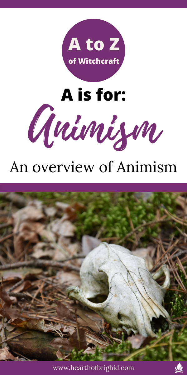 Animism in witchcraft guide
