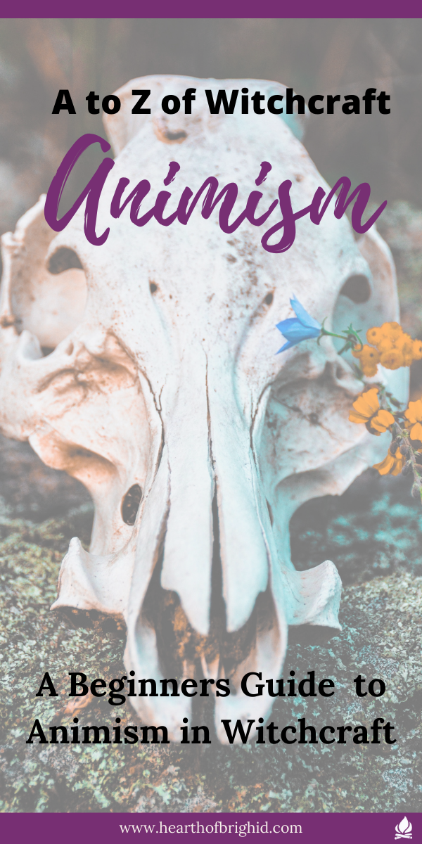 Beginners guide to animism