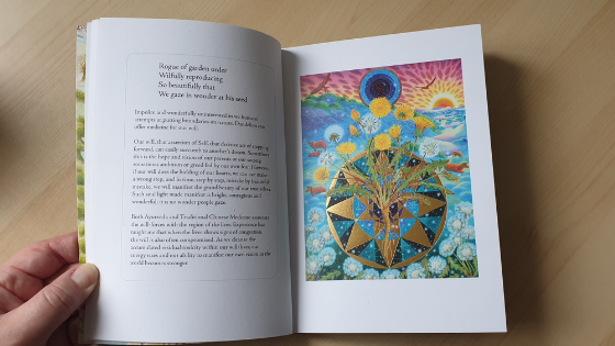 intuitive herbalism pictures