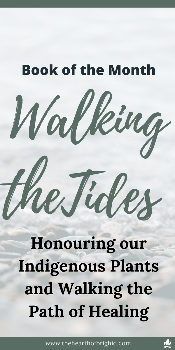 1 Walking the Tides Book Review 4 Walking the Tides Book Review