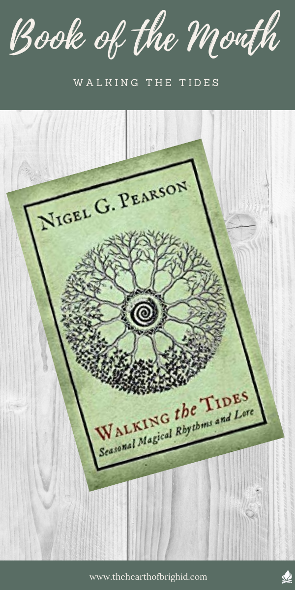 1Walking the Tides Book Review 10 Beginners guide to animism