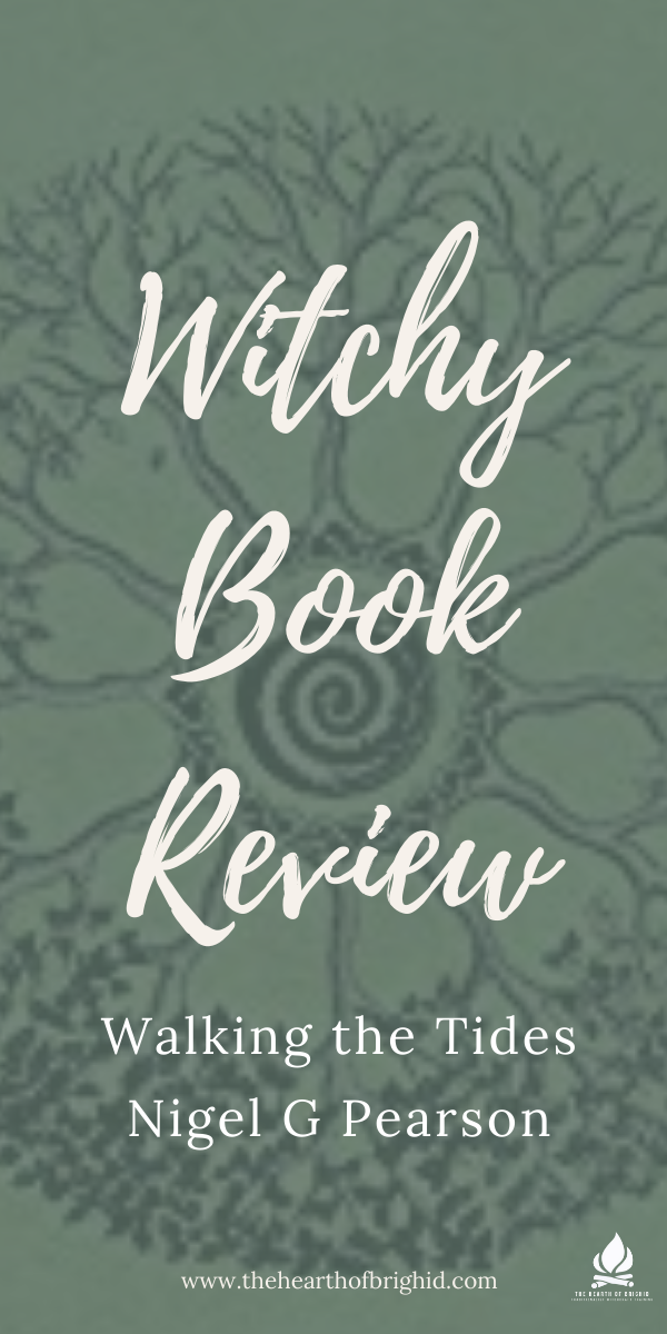 Walking the Tides Book Review 5 Beginners guide to animism