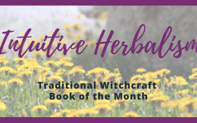 Witches Book of the Month – Intuitive Herbalism