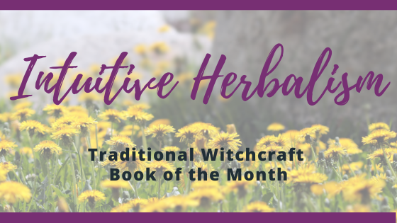 Intuitive Herbalism Traditional Witchcraft Book of the Month Review